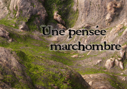 Une pensée marchombre