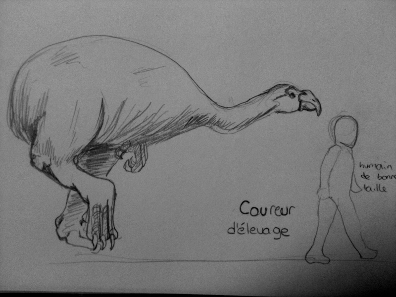 Courreur