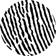 Logo Traces.info